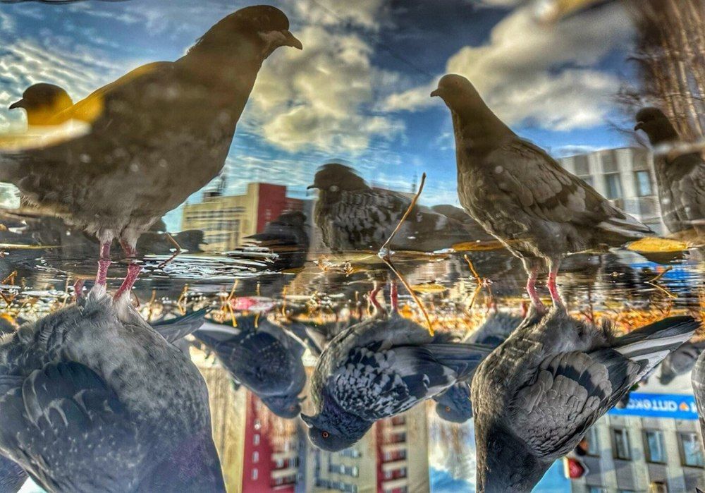 Photograph by Зинара Баймухаметова