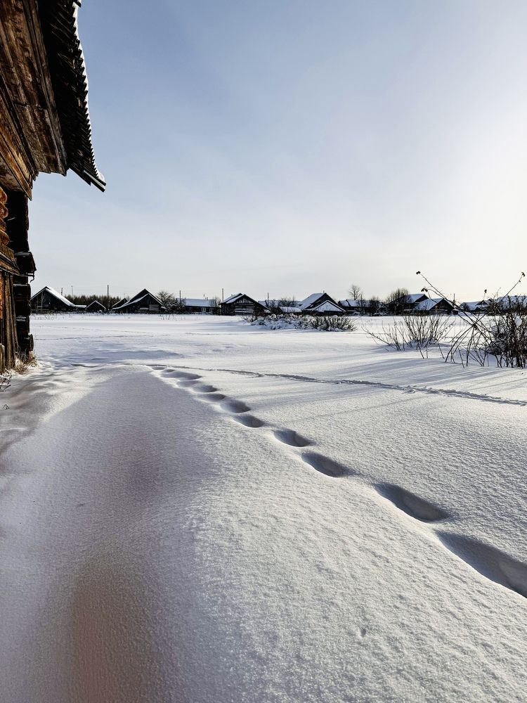 Photograph by Татьяна Зенина