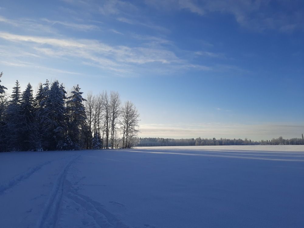 Фотография автора Станислава Гордеева