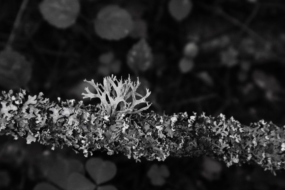 Photograph by ОЛЬГА ДЕРБЕНЕВА