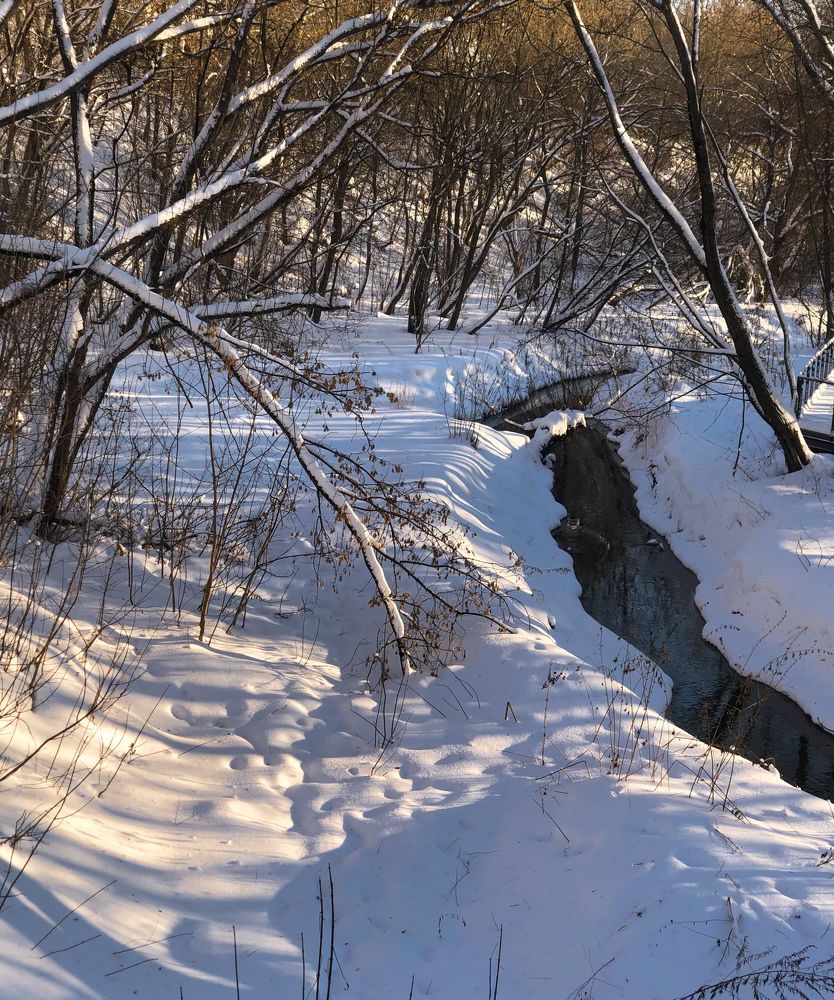 Photograph by Марина Георгиева