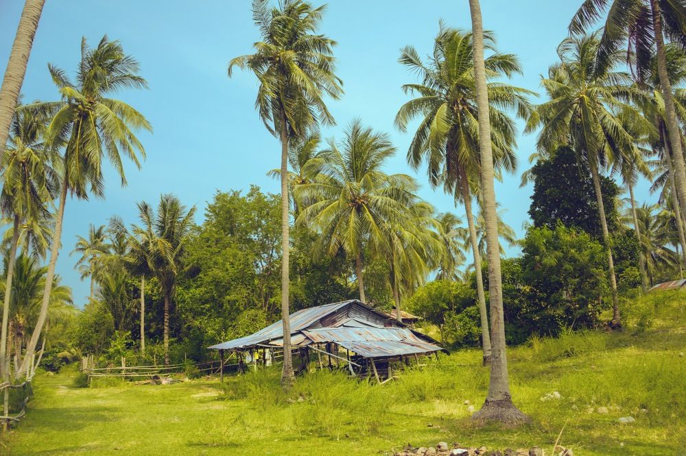 Photograph by Татьяна