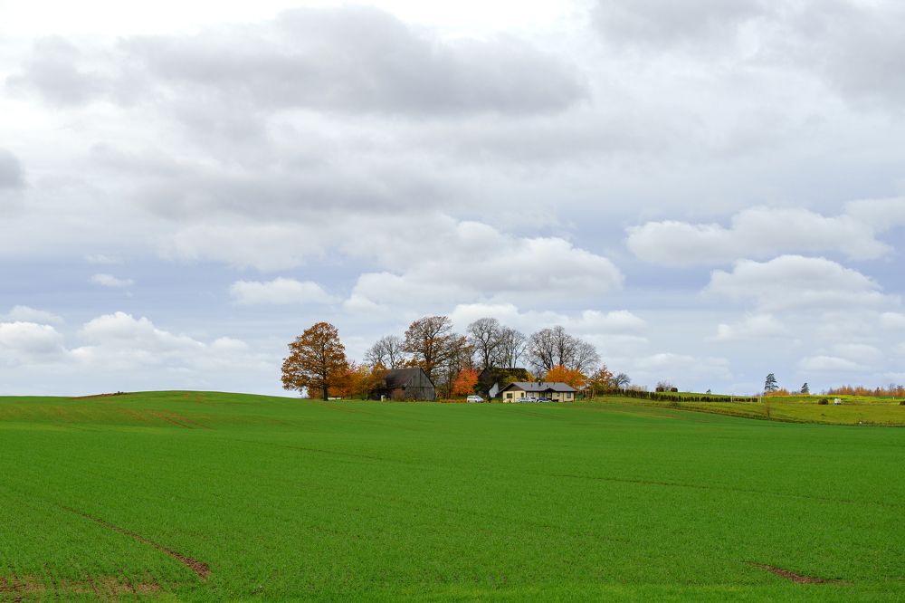 Photograph by Татьяна