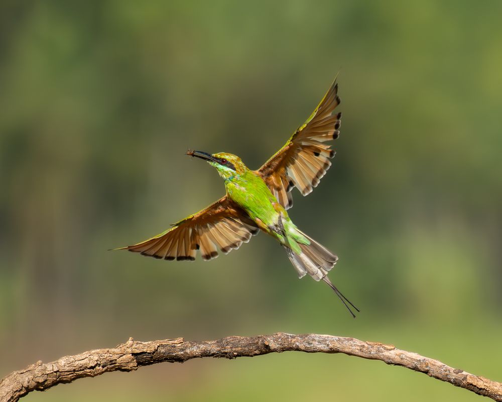 Фотография автора Anandhu M