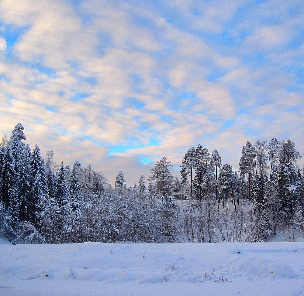 Photograph by Дмитрий