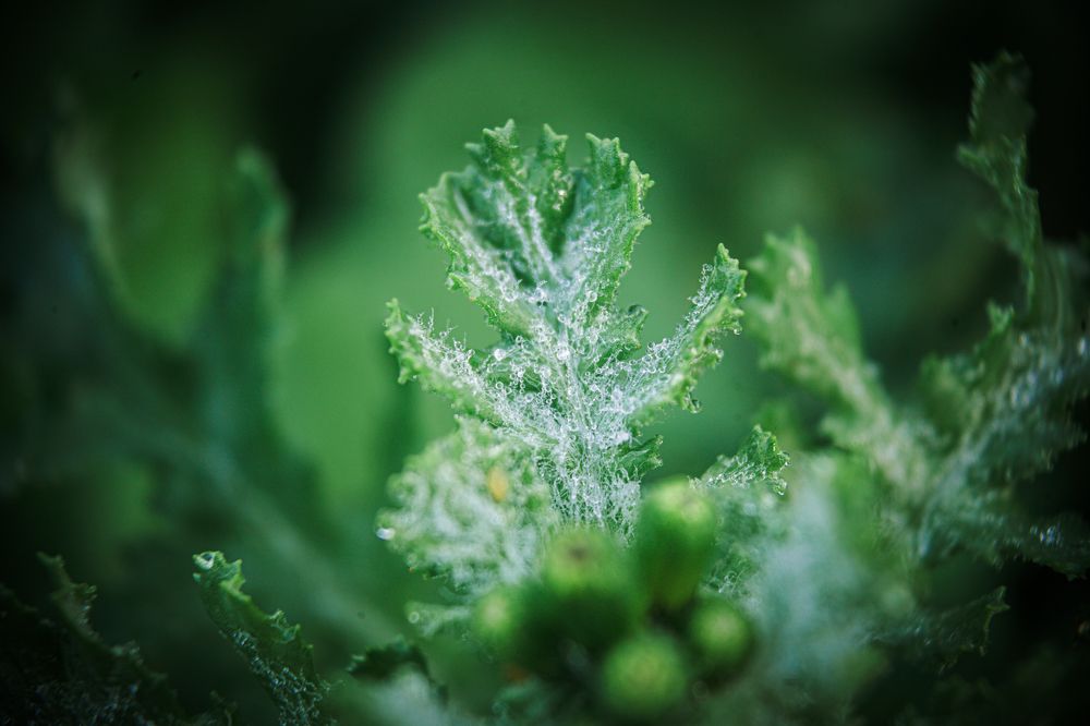 Photograph by Fábio Martins