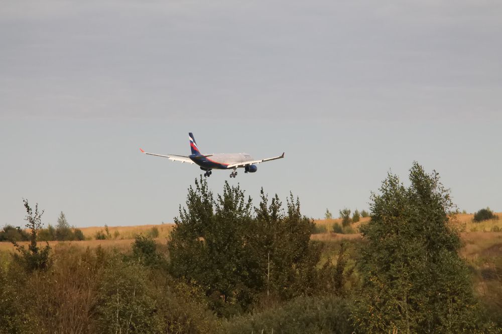 Photograph by Алексей Чеботарев