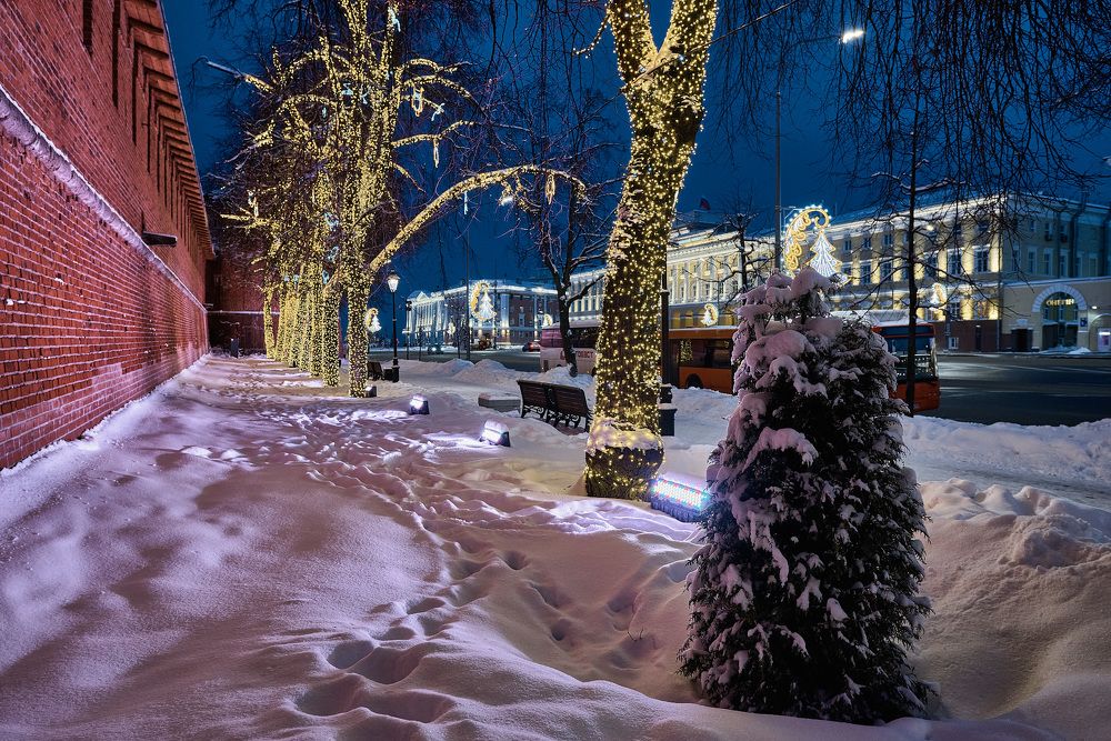 Фотография автора Владислав Храмцов