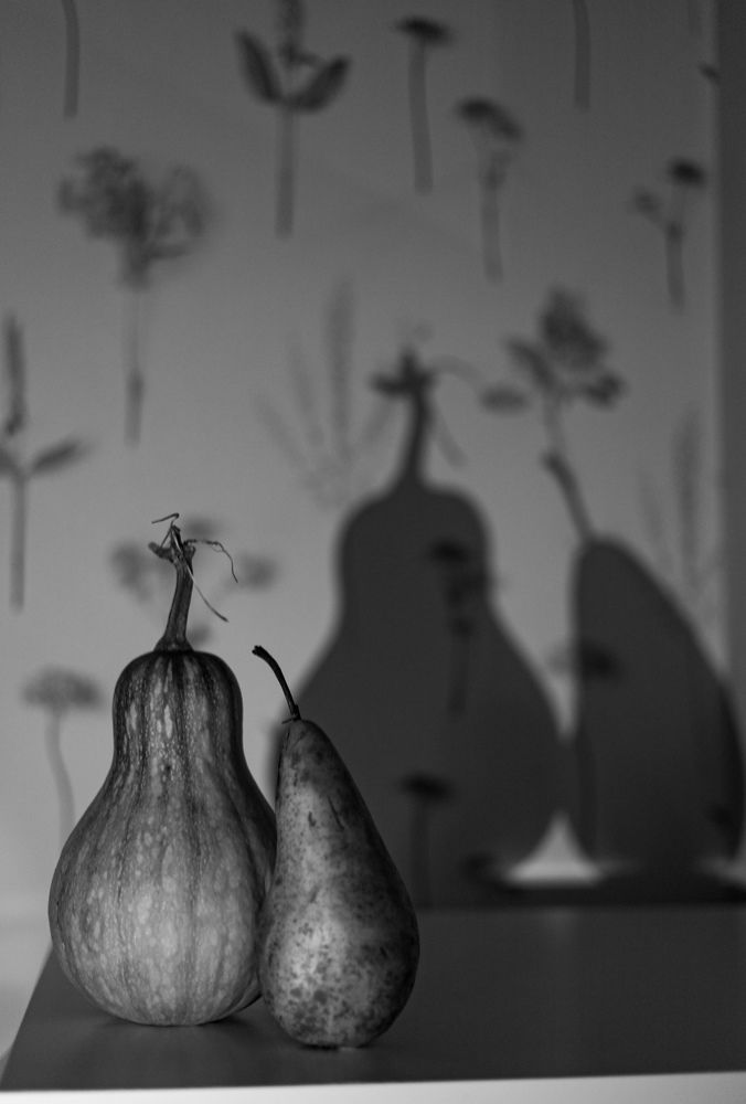 Photograph by Marina