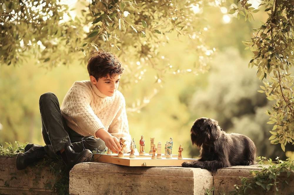 Игра в шахматы.