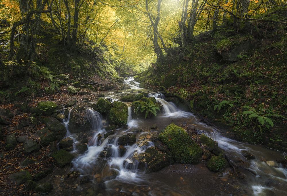 Photograph by david blanco