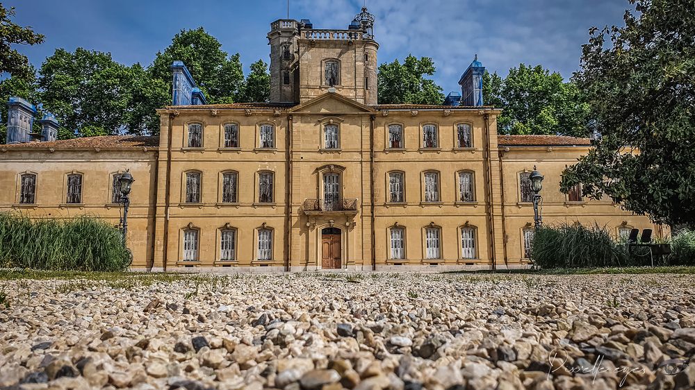 Фотография автора vanessa elbin