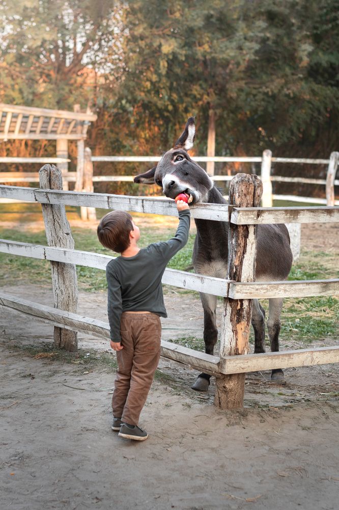 Photograph by Эльвира Бркич