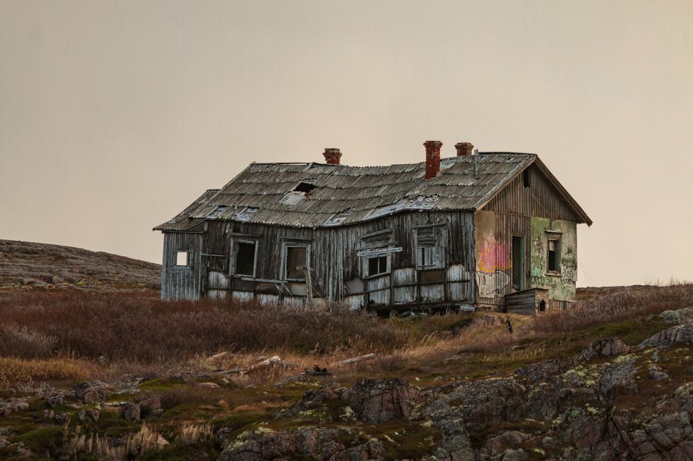 Photograph by Алексей Чеботарев