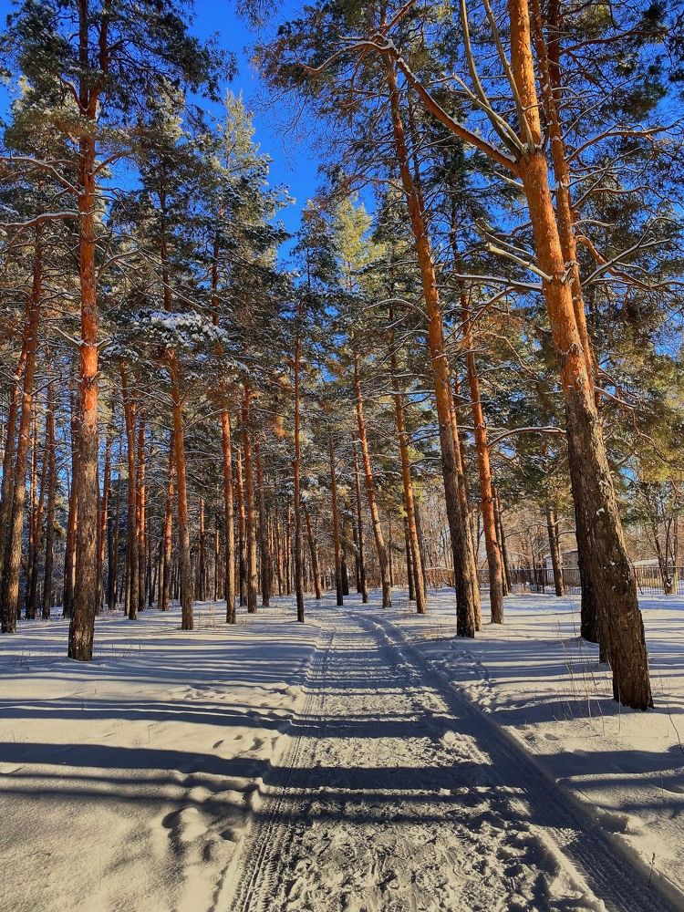 Photograph by Александр Соловьев
