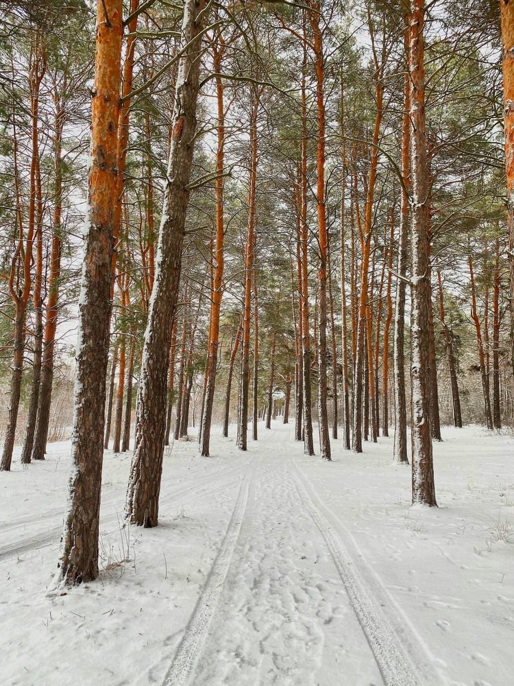 Photograph by Александр Соловьев