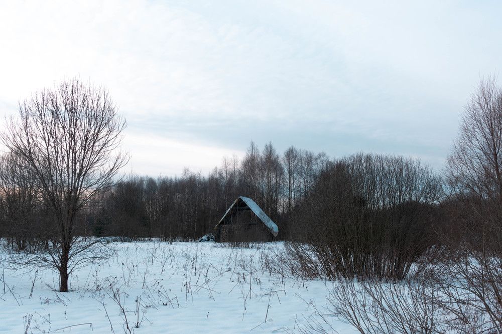 Photograph by Александр Ходакин