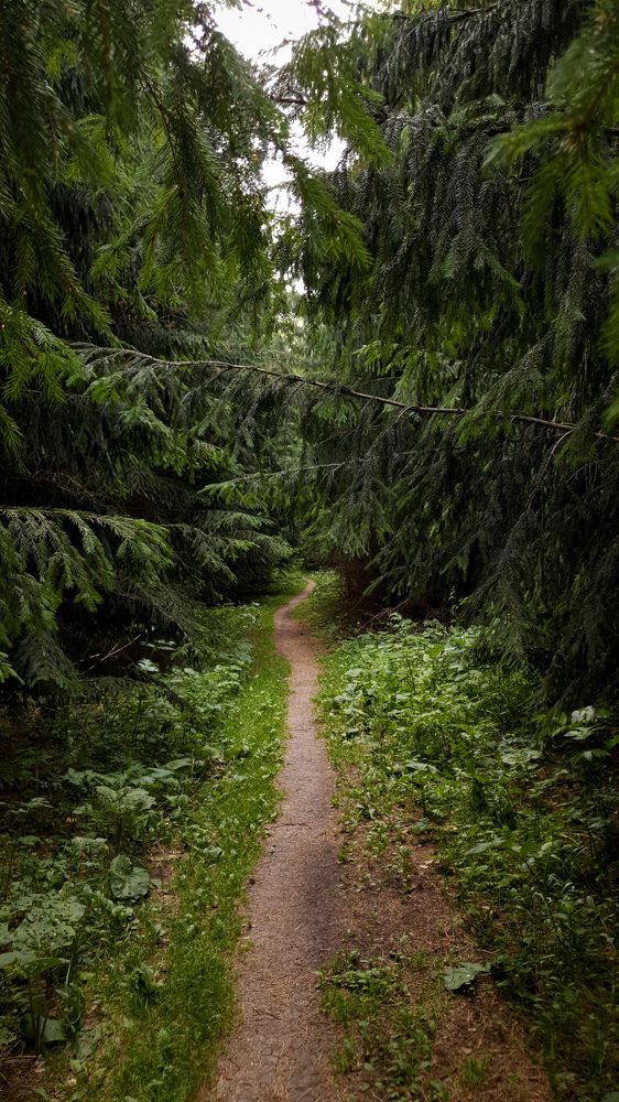 Photograph by Дарья