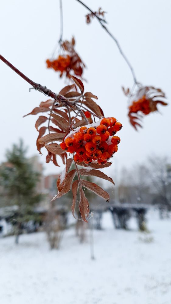 Photograph by Дарья