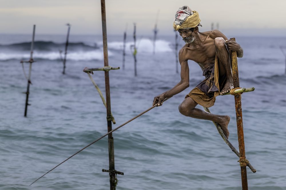 The Stilt Fisherman
