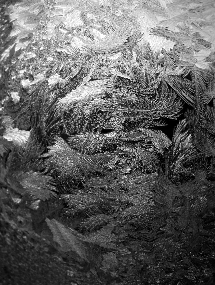 Photograph by Игорь Быков