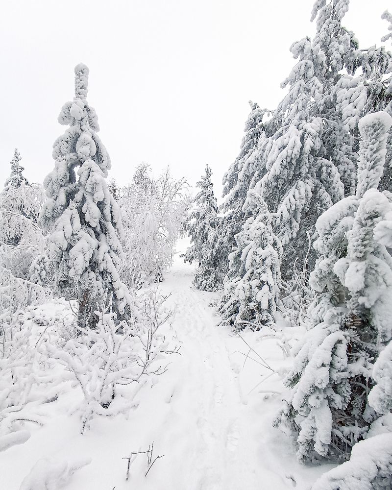 Photograph by Елена Кузнецова