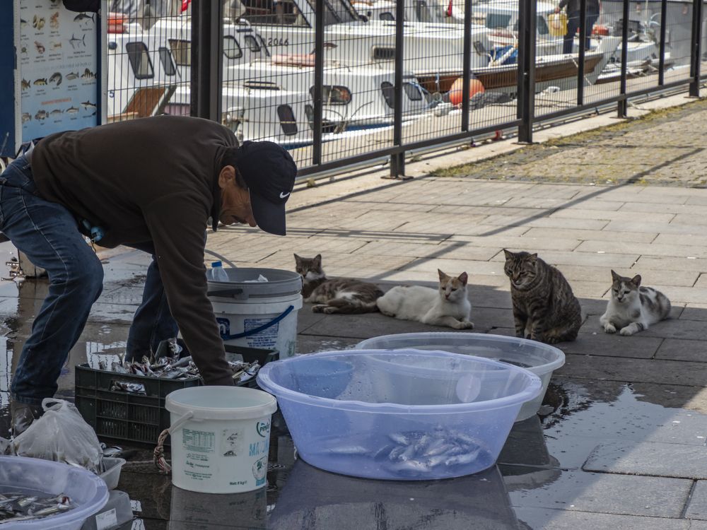 Photograph by Галина Михоношина