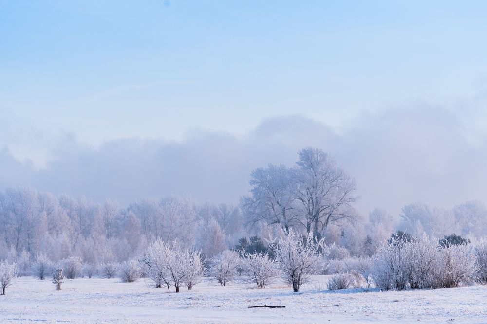 Photograph by Elena  Tagashova