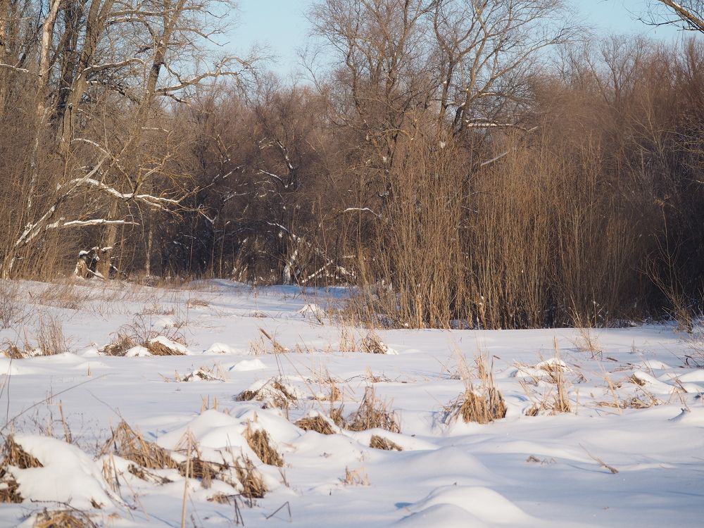 Photograph by Светлана Шибаршина