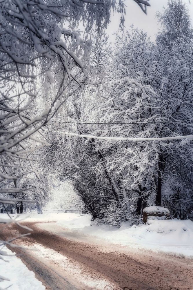 Photograph by Света Богоявленская