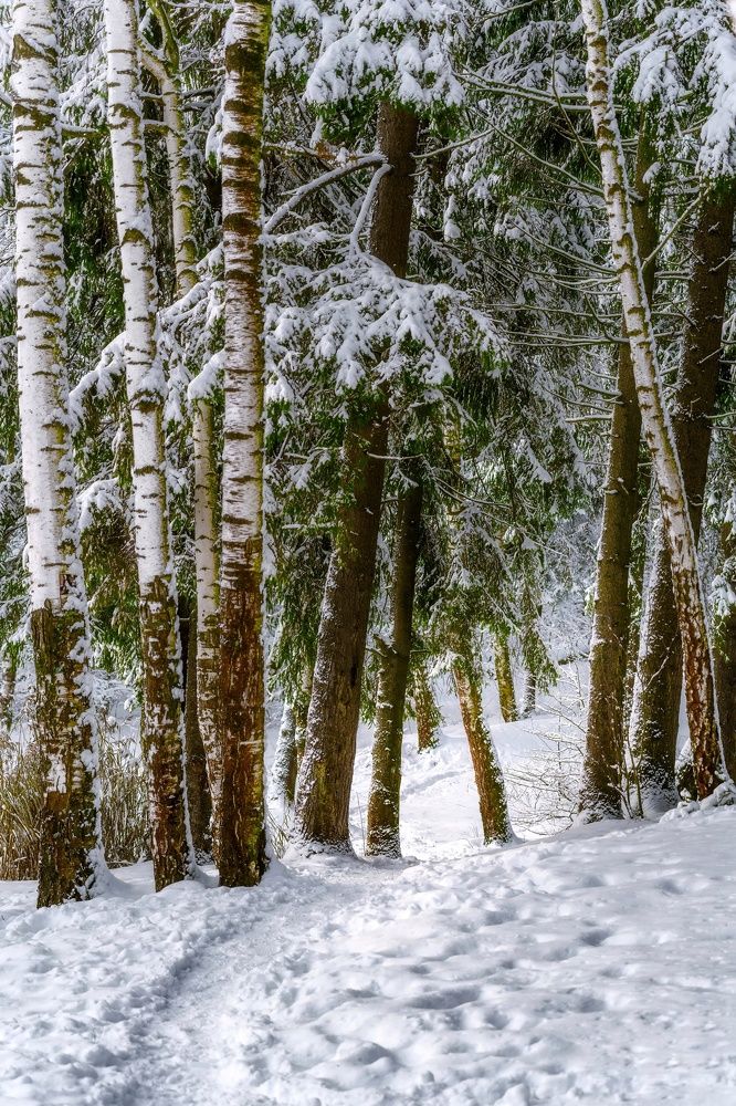 Photograph by Света Богоявленская