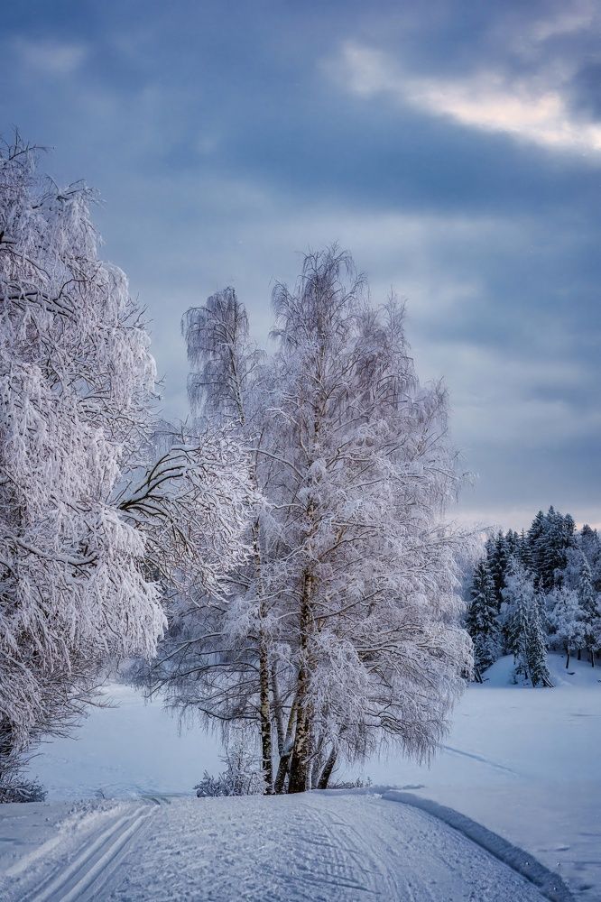 Photograph by Света Богоявленская