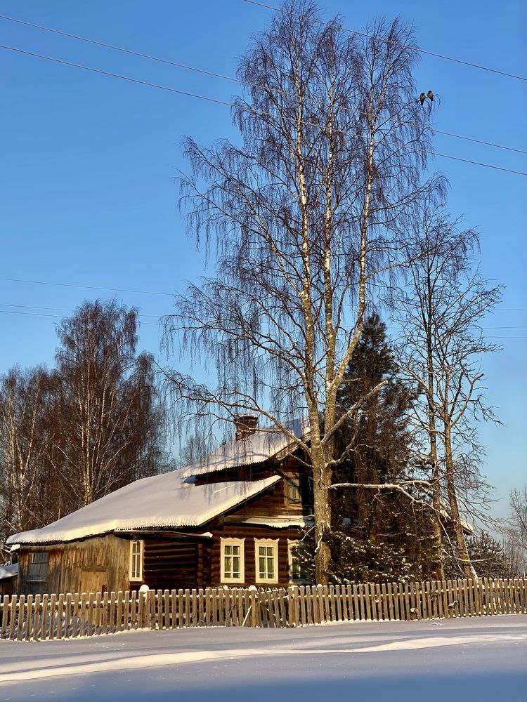 Photograph by Ирина Коваль