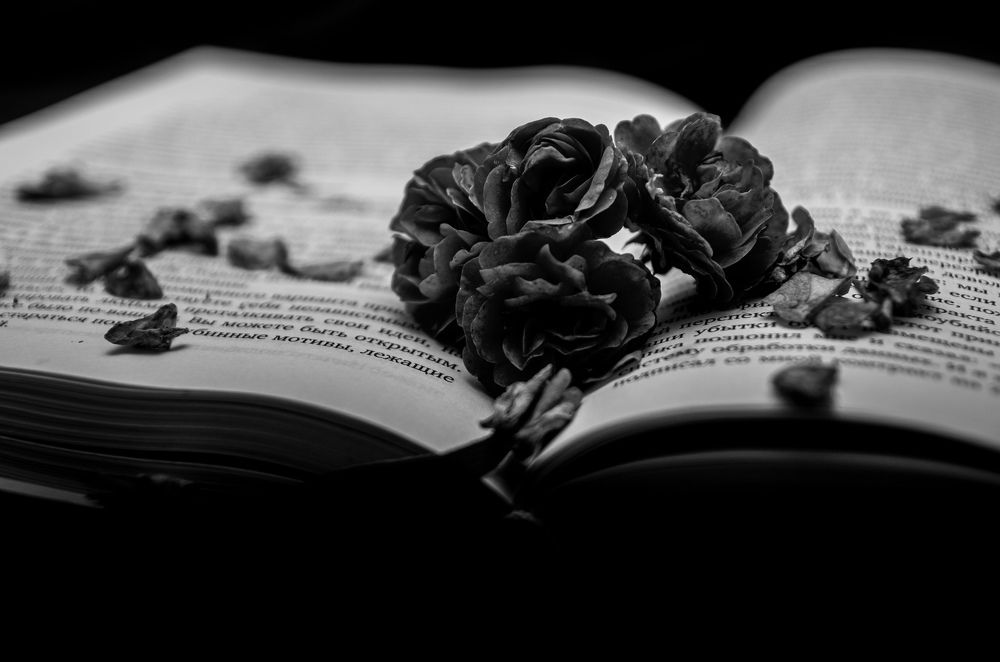 Photograph by Артём Серегин