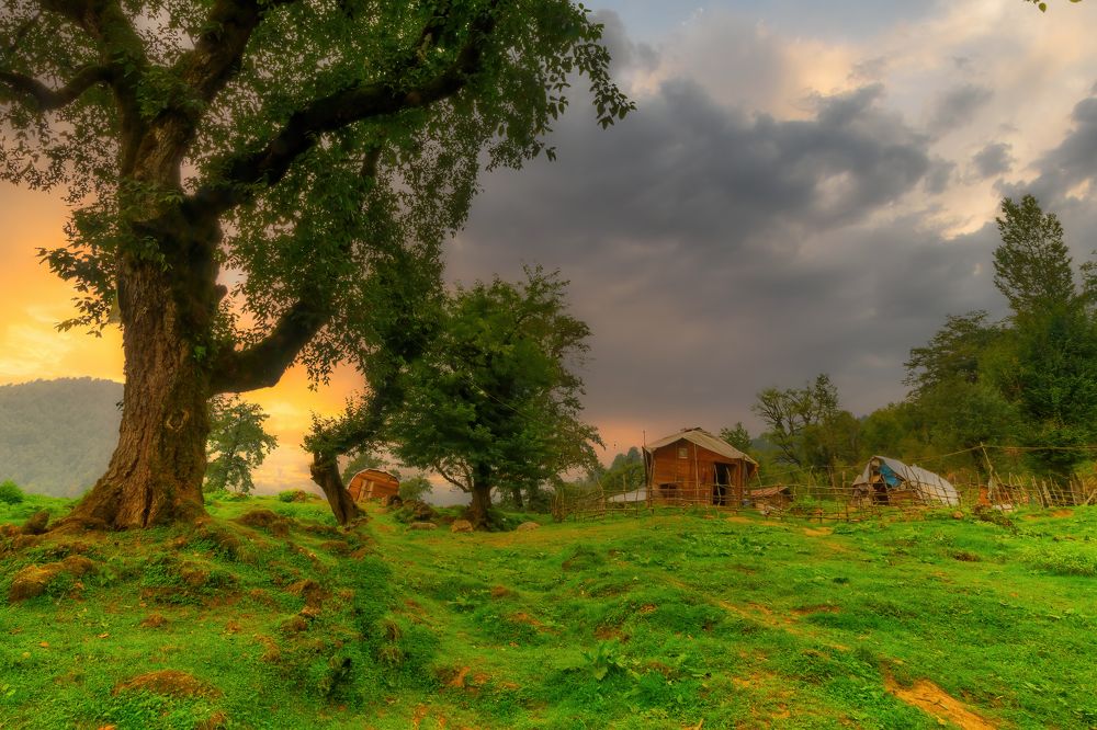 Photograph by Hamid espanani