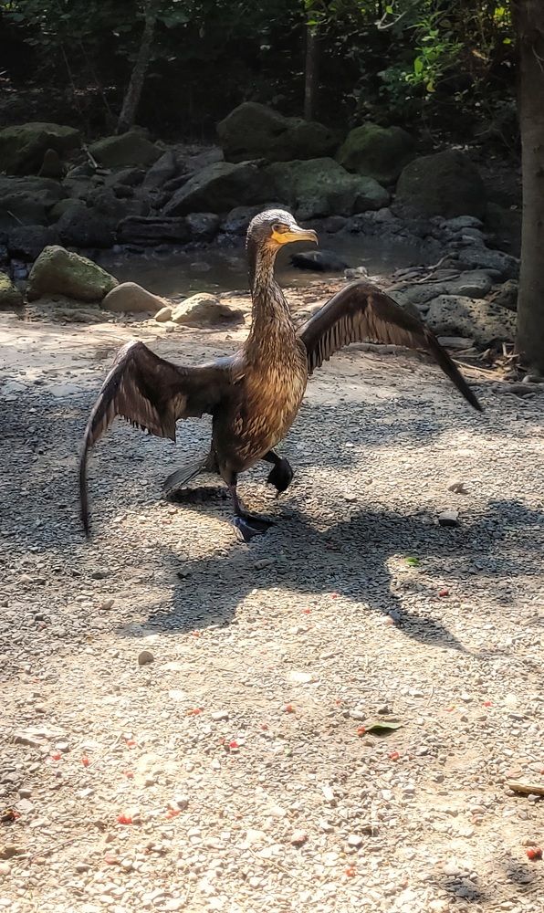 Photograph by Елена Иванова