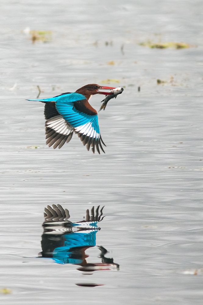 Photograph by Navjot Singh