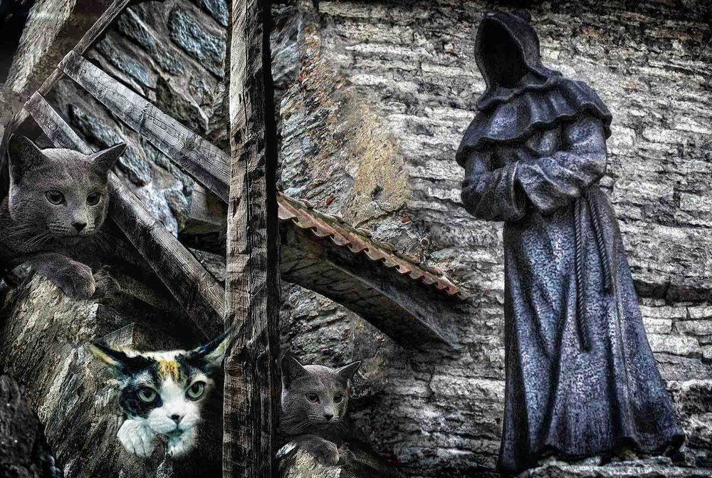 Photograph by Zinaida Nesselmann