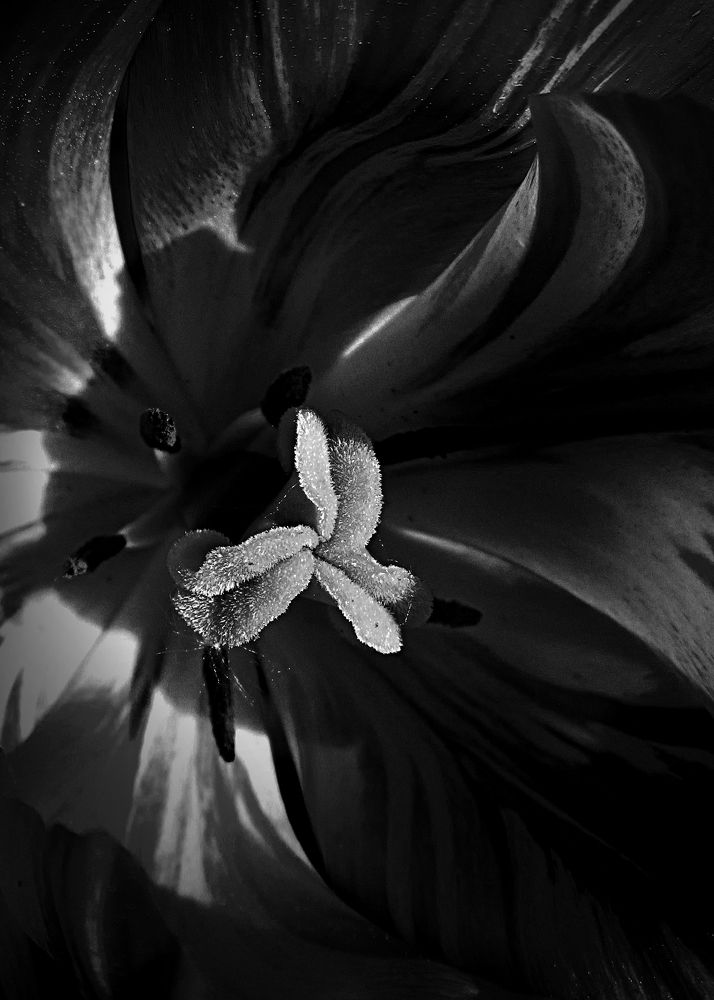 Photograph by Игорь Быков