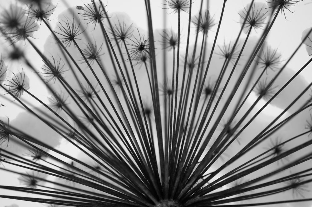 Photograph by Владимир