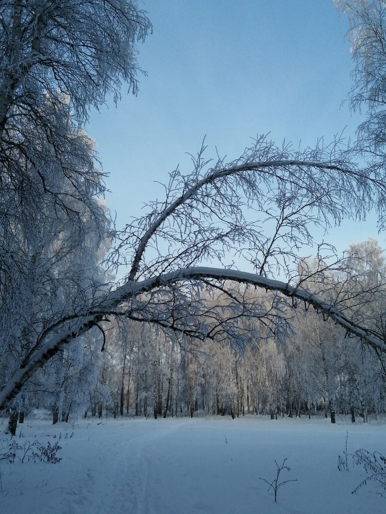 Photo #10122963