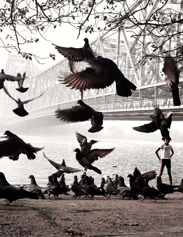 Photograph by Trishik Bose