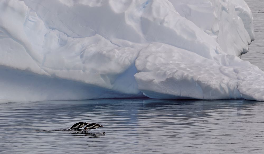 Фотография автора gagarin andrey