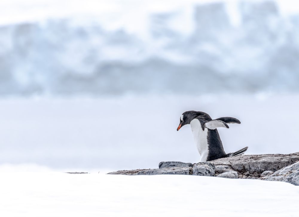 Photograph by gagarin andrey