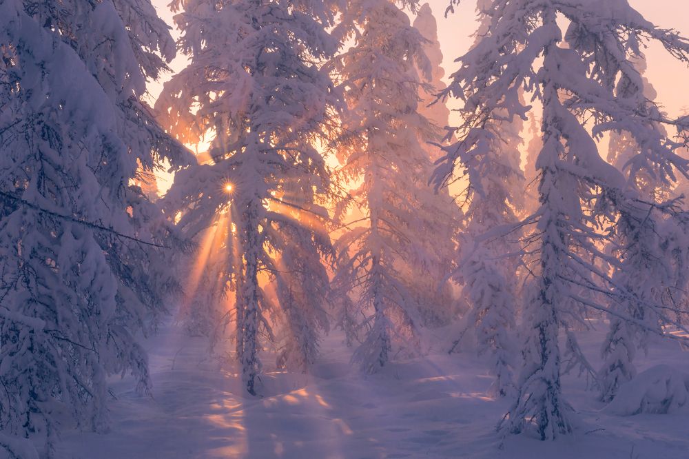 Photograph by Ольга Мусиенко