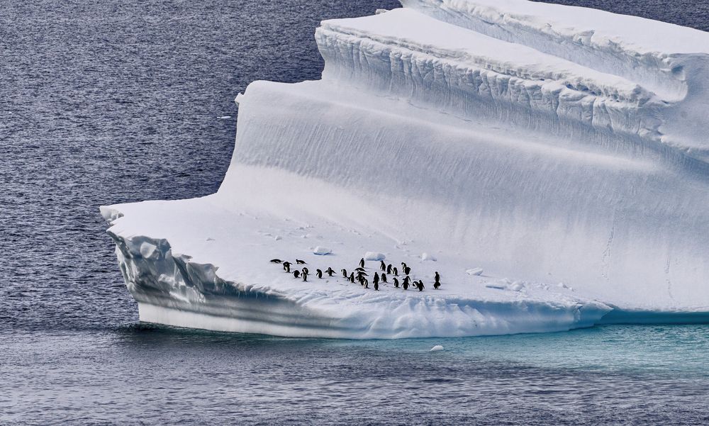 Photograph by gagarin andrey