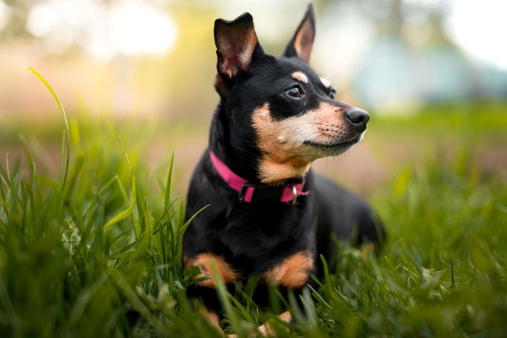 Photograph by Фурман Алексей