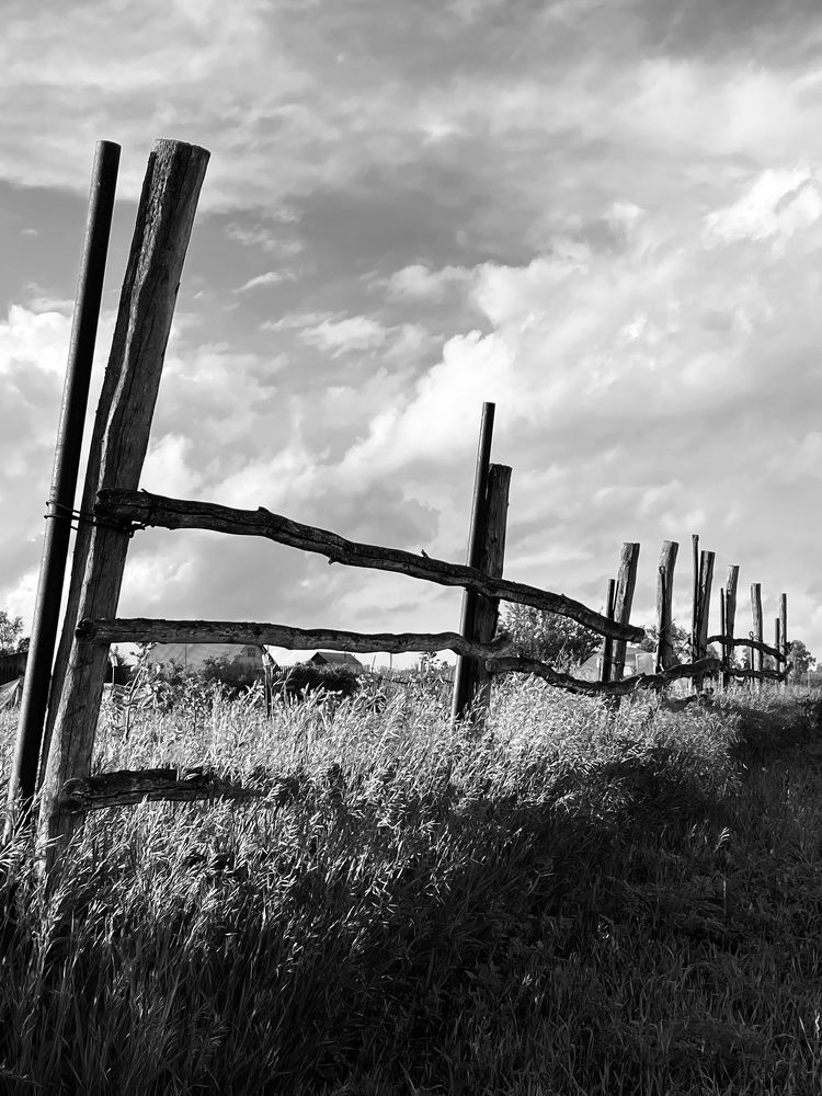 Photograph by оксана