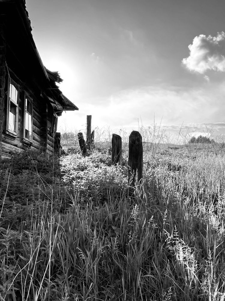 Photograph by оксана