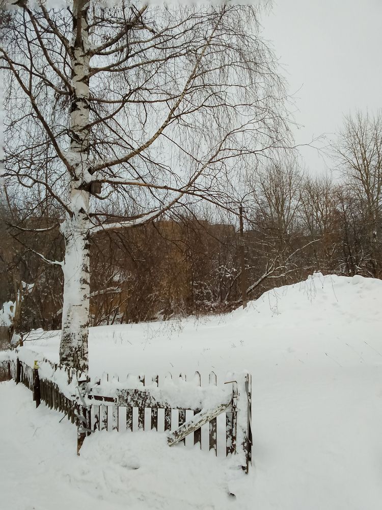 Photograph by Людмила Новосёлова